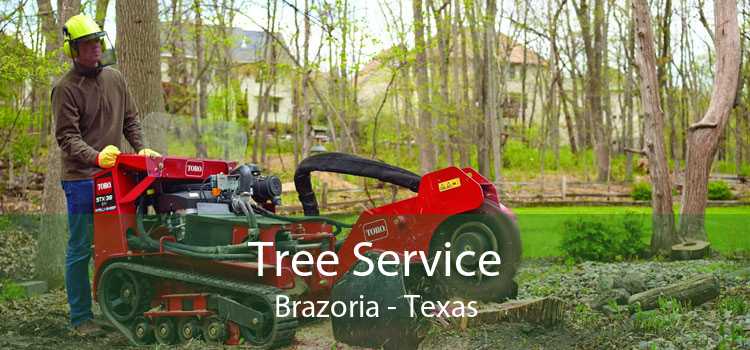 Tree Service Brazoria - Texas