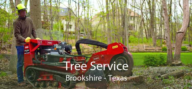 Tree Service Brookshire - Texas