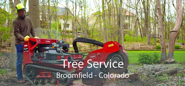 Tree Service Broomfield - Colorado