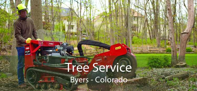 Tree Service Byers - Colorado