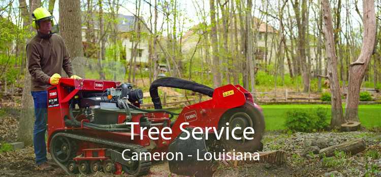 Tree Service Cameron - Louisiana