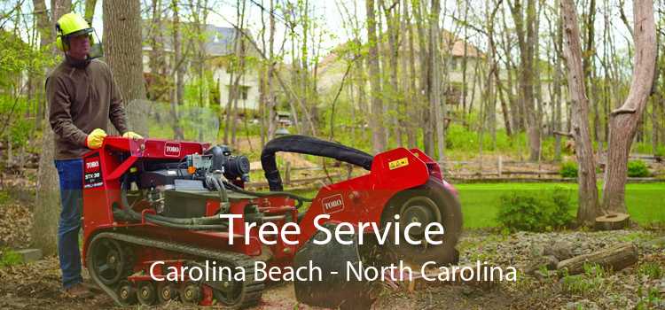 Tree Service Carolina Beach - North Carolina