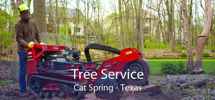 Tree Service Cat Spring - Texas
