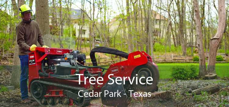 Tree Service Cedar Park - Texas