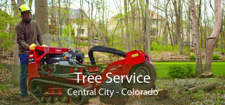 Tree Service Central City - Colorado