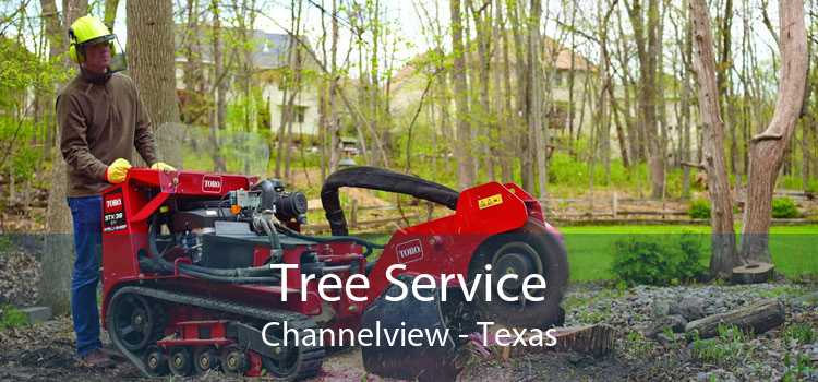 Tree Service Channelview - Texas