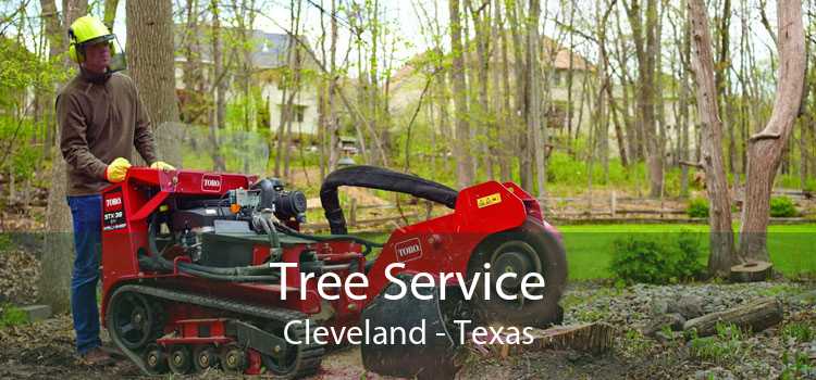 Tree Service Cleveland - Texas