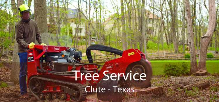 Tree Service Clute - Texas