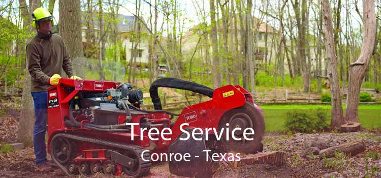 Tree Service Conroe - Texas