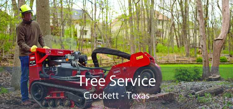 Tree Service Crockett - Texas