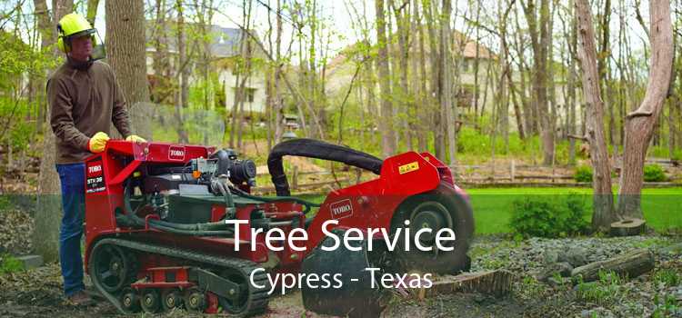 Tree Service Cypress - Texas