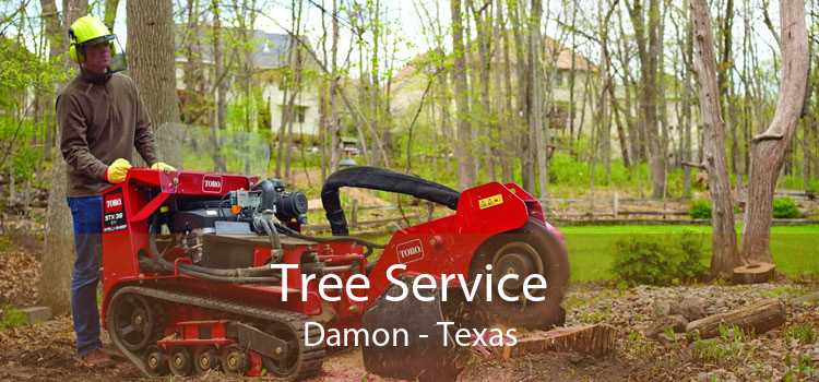 Tree Service Damon - Texas