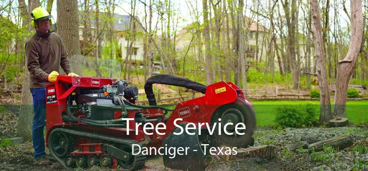Tree Service Danciger - Texas