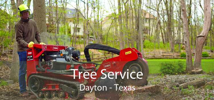 Tree Service Dayton - Texas