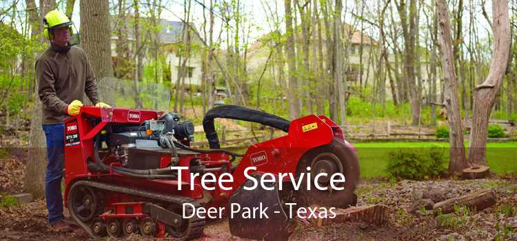 Tree Service Deer Park - Texas