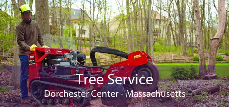 Tree Service Dorchester Center - Massachusetts