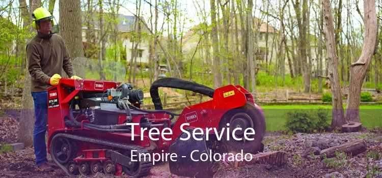 Tree Service Empire - Colorado