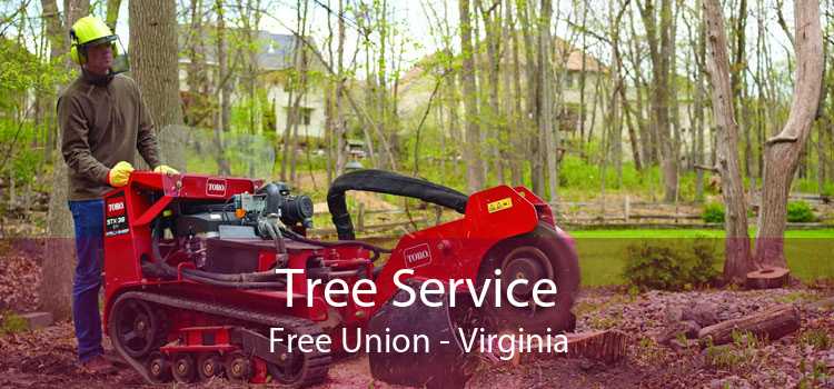 Tree Service Free Union - Virginia