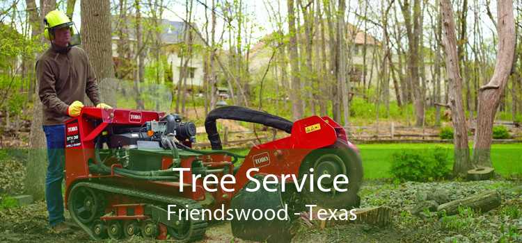 Tree Service Friendswood - Texas