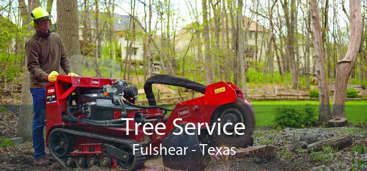 Tree Service Fulshear - Texas
