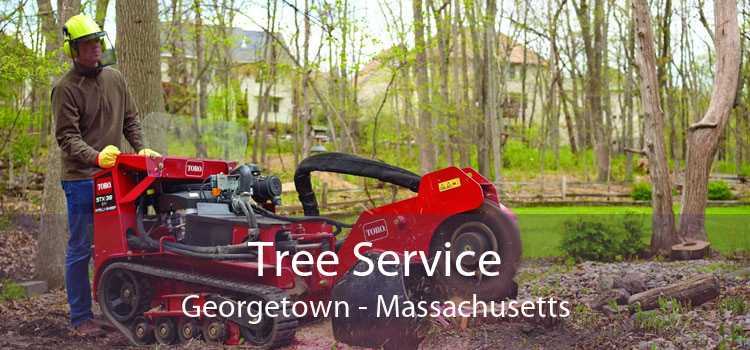 Tree Service Georgetown - Massachusetts