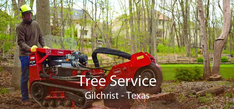 Tree Service Gilchrist - Texas