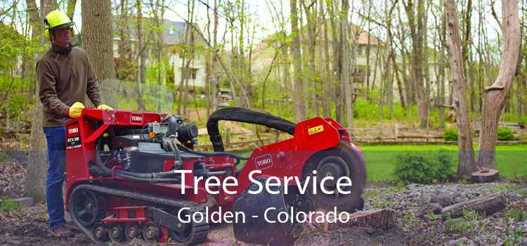 Tree Service Golden - Colorado