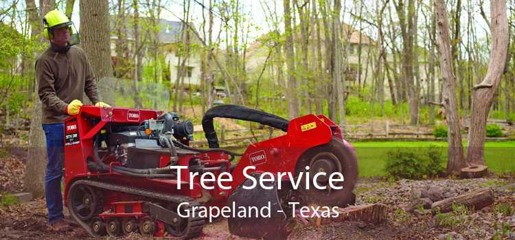 Tree Service Grapeland - Texas