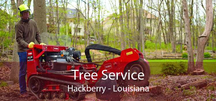 Tree Service Hackberry - Louisiana