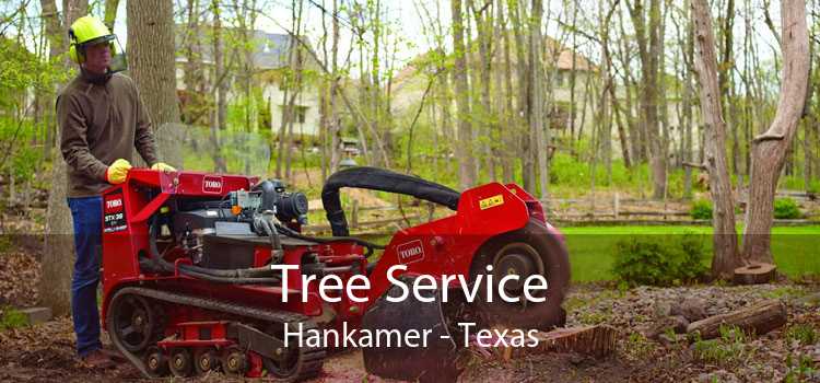 Tree Service Hankamer - Texas