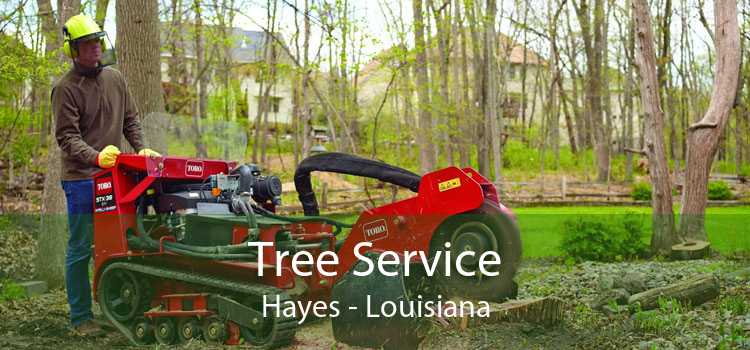 Tree Service Hayes - Louisiana