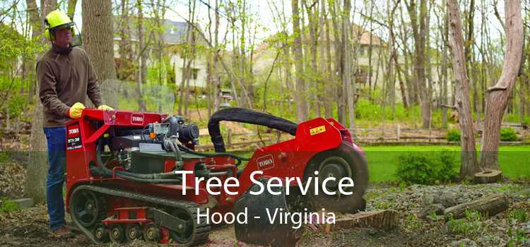 Tree Service Hood - Virginia