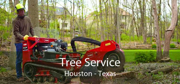 Tree Service Houston - Texas