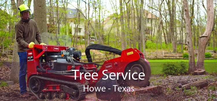 Tree Service Howe - Texas