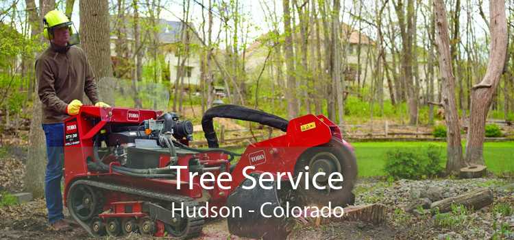Tree Service Hudson - Colorado