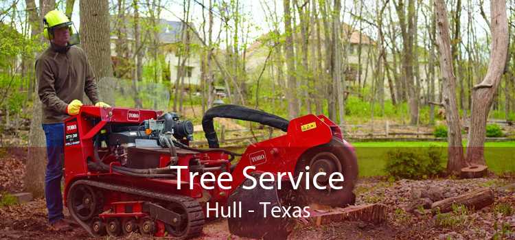 Tree Service Hull - Texas