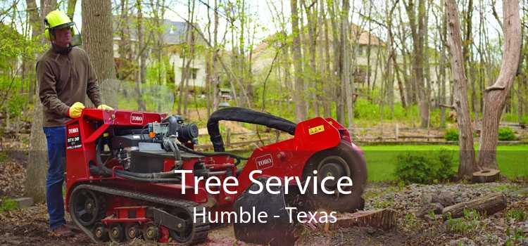Tree Service Humble - Texas