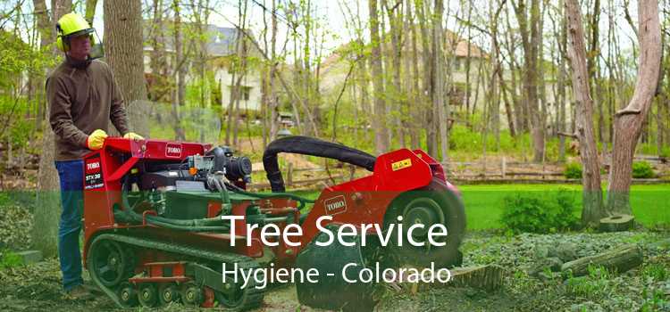 Tree Service Hygiene - Colorado