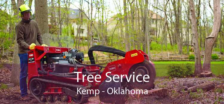 Tree Service Kemp - Oklahoma