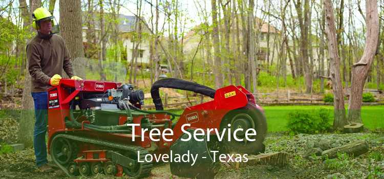 Tree Service Lovelady - Texas