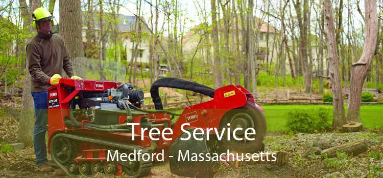 Tree Service Medford - Massachusetts