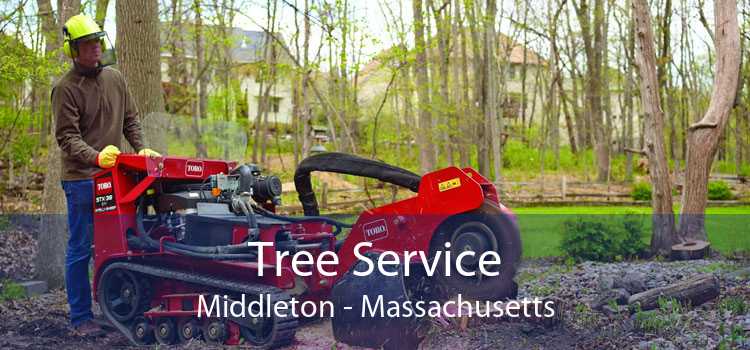 Tree Service Middleton - Massachusetts