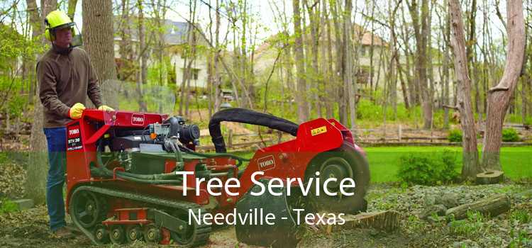 Tree Service Needville - Texas