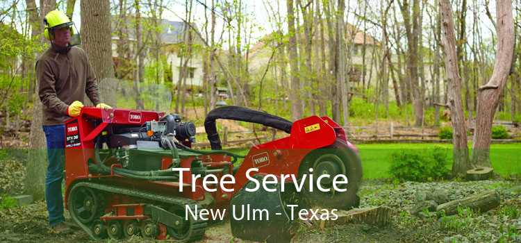 Tree Service New Ulm - Texas