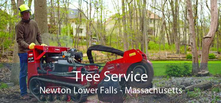 Tree Service Newton Lower Falls - Massachusetts