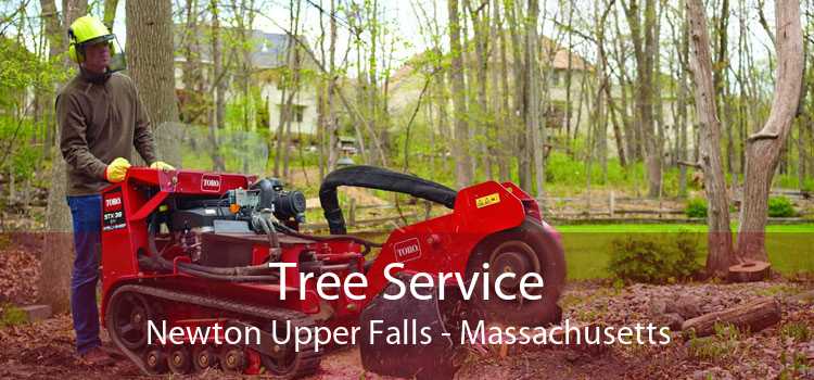 Tree Service Newton Upper Falls - Massachusetts