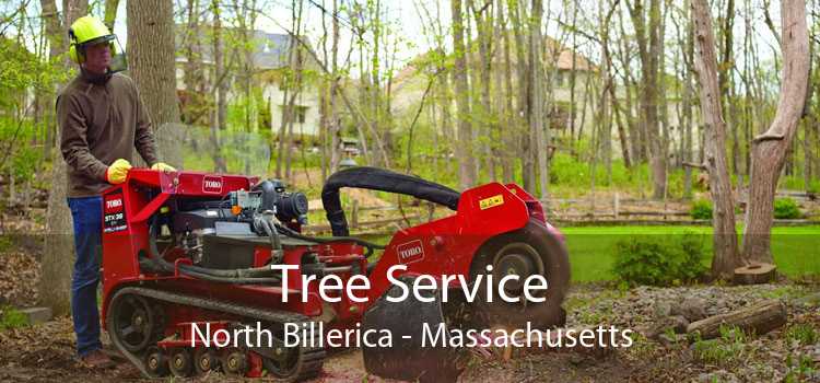 Tree Service North Billerica - Massachusetts