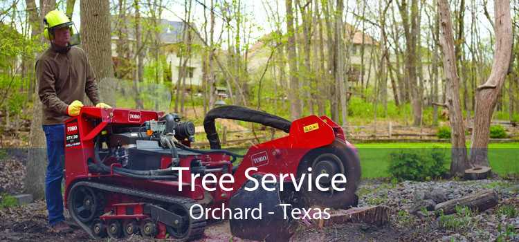 Tree Service Orchard - Texas