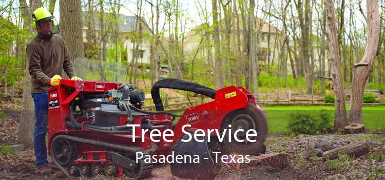 Tree Service Pasadena - Texas