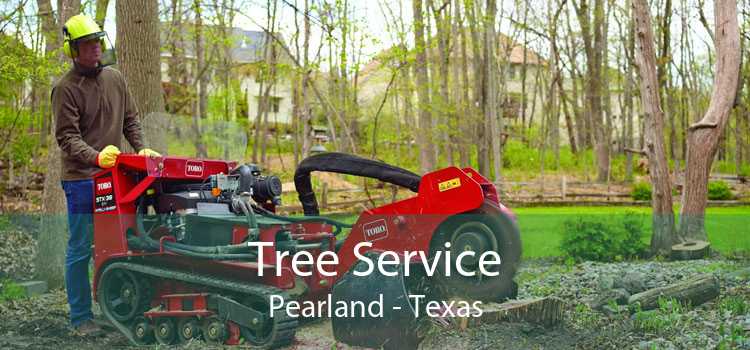 Tree Service Pearland - Texas